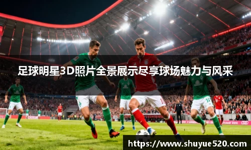 足球明星3D照片全景展示尽享球场魅力与风采