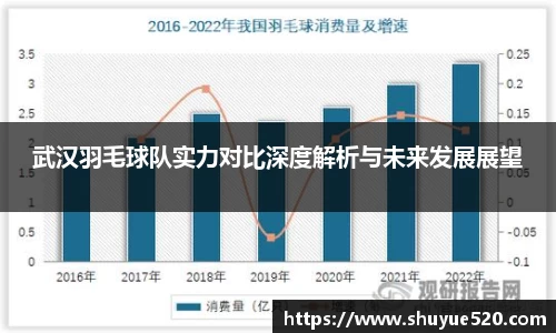 武汉羽毛球队实力对比深度解析与未来发展展望