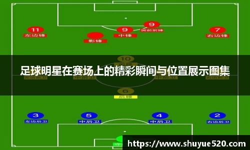 足球明星在赛场上的精彩瞬间与位置展示图集